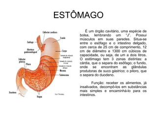 ESTÔMAGO 
É um órgão cavitário, uma espécie de 
bolsa, lembrando um “J”. Possui 
músculos em suas paredes. Situa-se 
entre o esôfago e o intestino delgado, 
com cerca de 25 cm de comprimento, 12 
cm de diâmetro e 1300 cm cúbicos de 
capacidade, ou seja, de um a dois litros. 
O estômago tem 3 zonas distintas: a 
cárdia, que o separa do esôfago; o fundo, 
onde se encontram as glândulas 
produtoras de suco gástrico; o piloro, que 
o separa do duodeno. 
Função: receber os alimentos, já 
insalivados, decompô-los em substâncias 
mais simples e encaminhá-lo para os 
intestinos. 
 