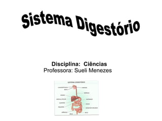 Disciplina: Ciências 
Professora: Sueli Menezes 
 