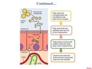 Digestive System of Non-Ruminant animals.pptx