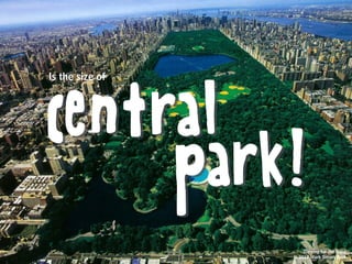 central
park!
Is the size of
Digging for the Bone
© 2017 Mark Simon Burk
 