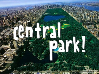 And you’re digging
for bones in the
yard
Digging for the Bone
© 2014 Mark Simon Burk
 