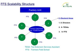 FFS Scalability Structure
                           Factory Unit

                     FFS          1
                                                 FFS              6 -Electoral Areas


                                                       2          1. 6- Directors
         FFS    6
                                                                  2.  6- TESAs
                            Factory Catchment
                           Avg. 15,000 Farmers
                                                                  3.   6- FFS
                                                       3
                5
          FFS                                              FFS
                                 4
                                        FFS


                    TESA- Tea Extension Services Assistant
                    FFS - Farmers Field School
 