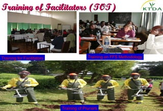 Training of Facilitators (TOT)




Training for Facilitators                 Training on FFS Methodology




                            Training of Pruners
 