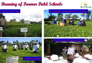Running of Farmer Field Schools
Farmer- run Trials                     Participatory Exploration by Farmers




                                           Group Synthesis & Decision Making




                     Collective AESA
 