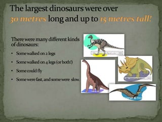 The largest dinosaurs were over 30 metreslong and up to 15 metres tall!There were many different kinds of dinosaurs:    Some walked on 2 legs