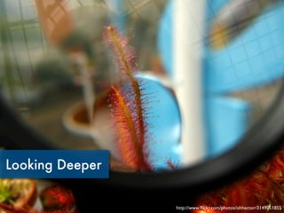 Looking Deeper


                 http://www.ﬂickr.com/photos/ohhector/3149051855
 
