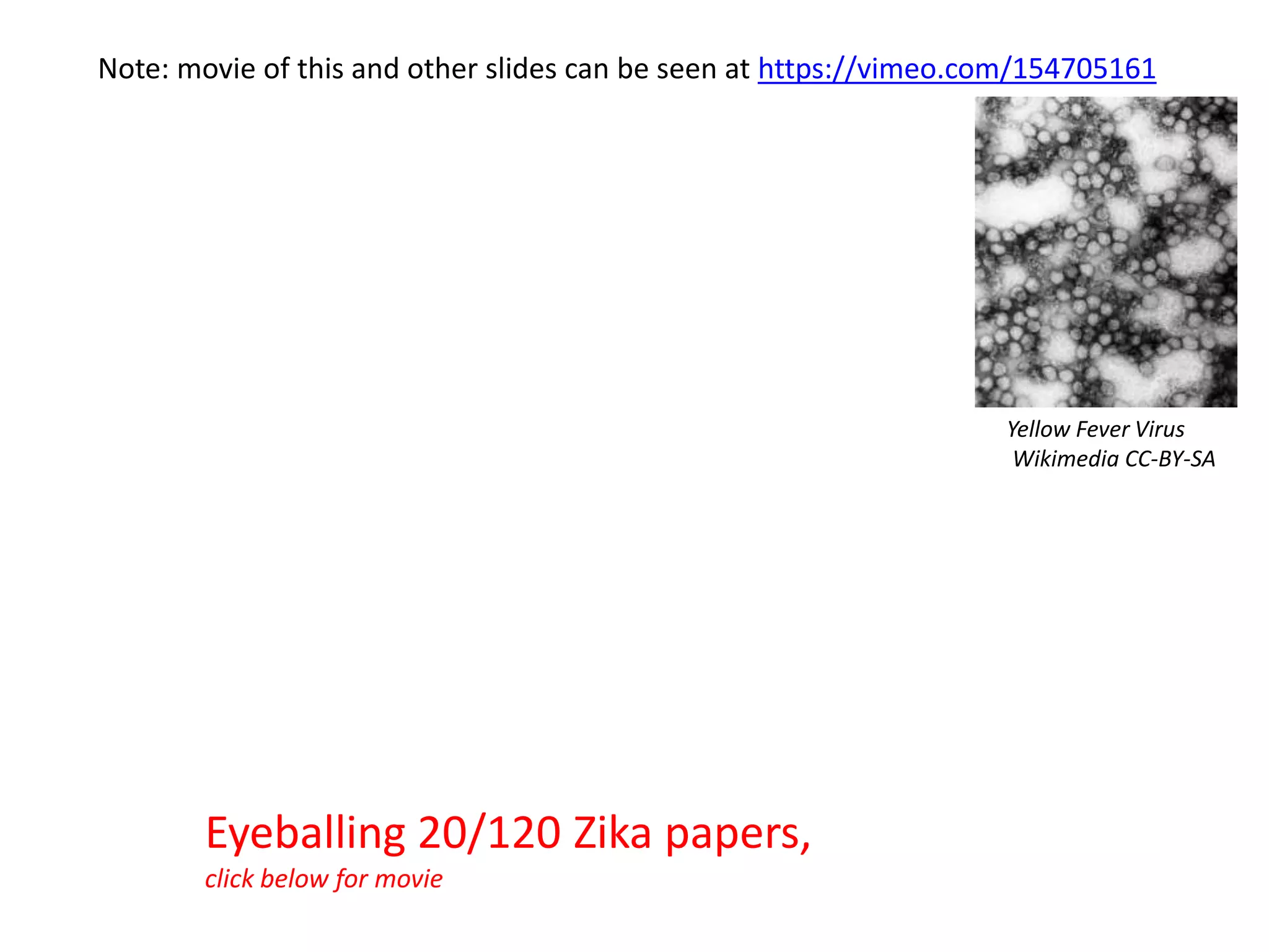 Eyeballing 20/120 Zika papers,
click below for movie
Yellow Fever Virus
Wikimedia CC-BY-SA
Note: movie of this and other slides can be seen at https://vimeo.com/154705161
 