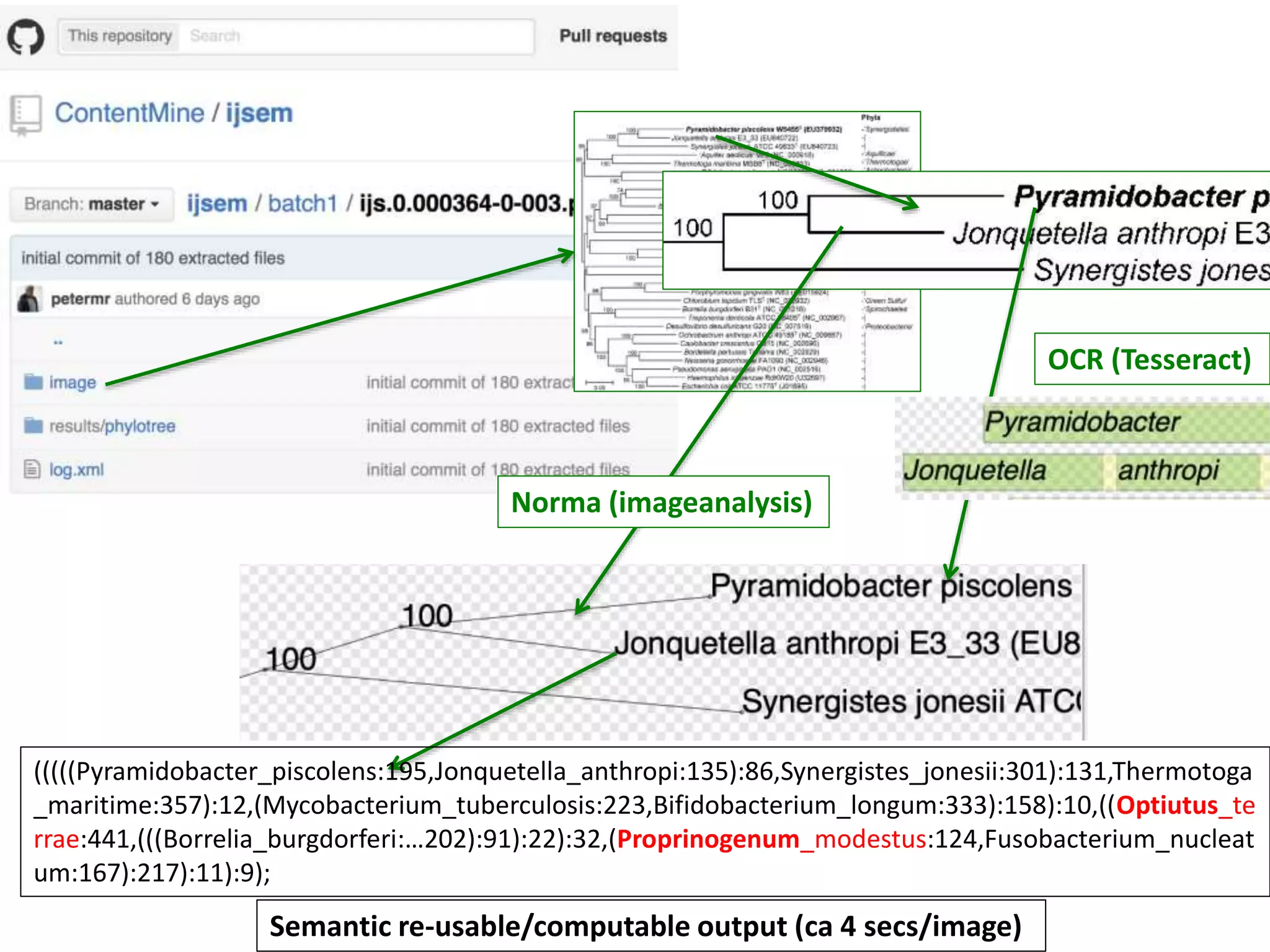 OCR (Tesseract)
Norma (imageanalysis)
(((((Pyramidobacter_piscolens:195,Jonquetella_anthropi:135):86,Synergistes_jonesii:301):131,Thermotoga
_maritime:357):12,(Mycobacterium_tuberculosis:223,Bifidobacterium_longum:333):158):10,((Optiutus_te
rrae:441,(((Borrelia_burgdorferi:…202):91):22):32,(Proprinogenum_modestus:124,Fusobacterium_nucleat
um:167):217):11):9);
Semantic re-usable/computable output (ca 4 secs/image)
 