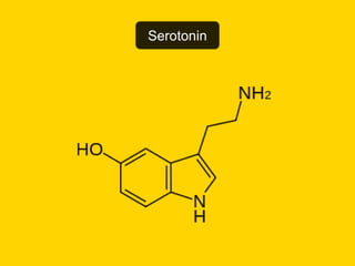Serotonin
 