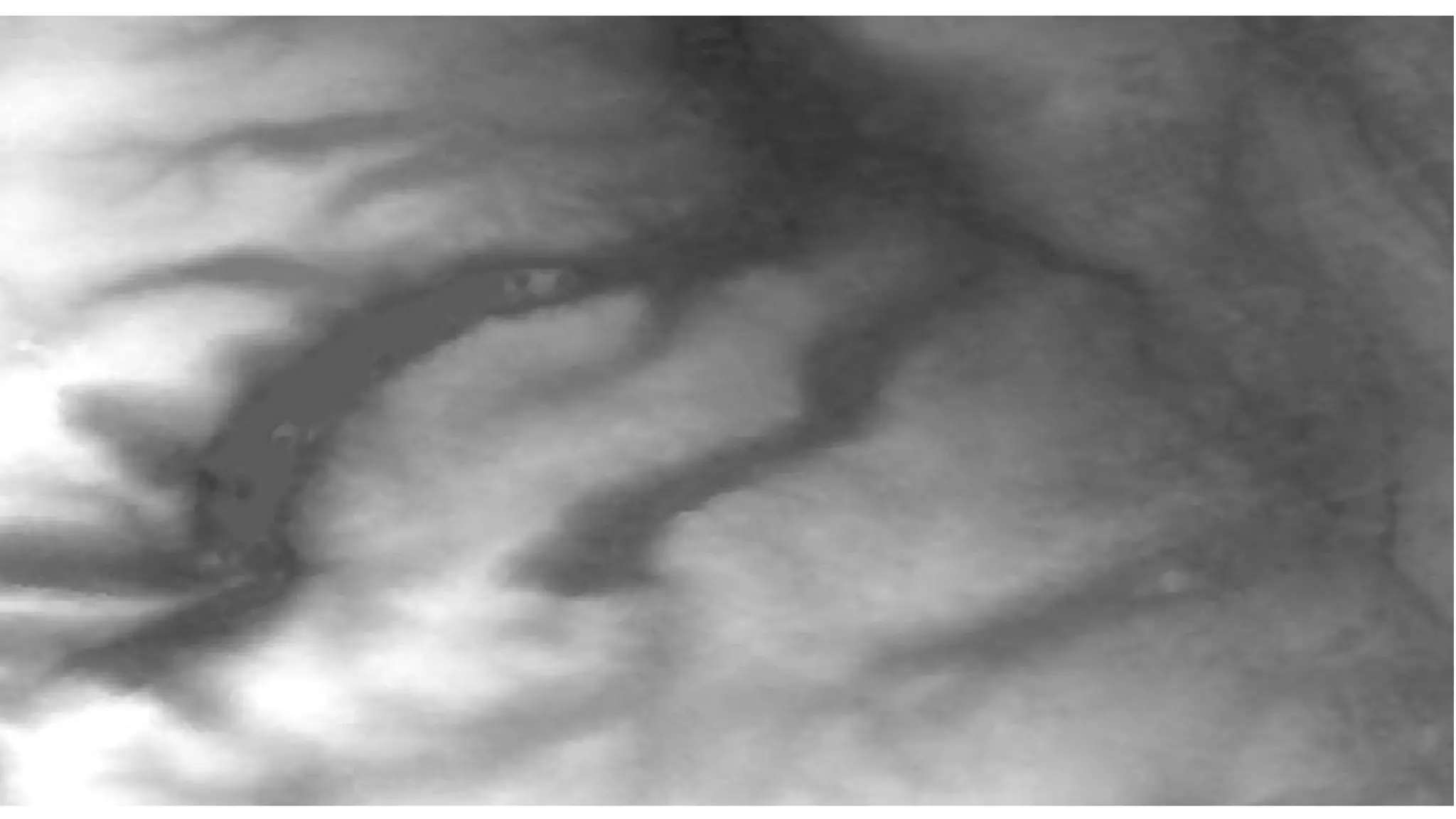 Spatial Data, Spatial Humanities