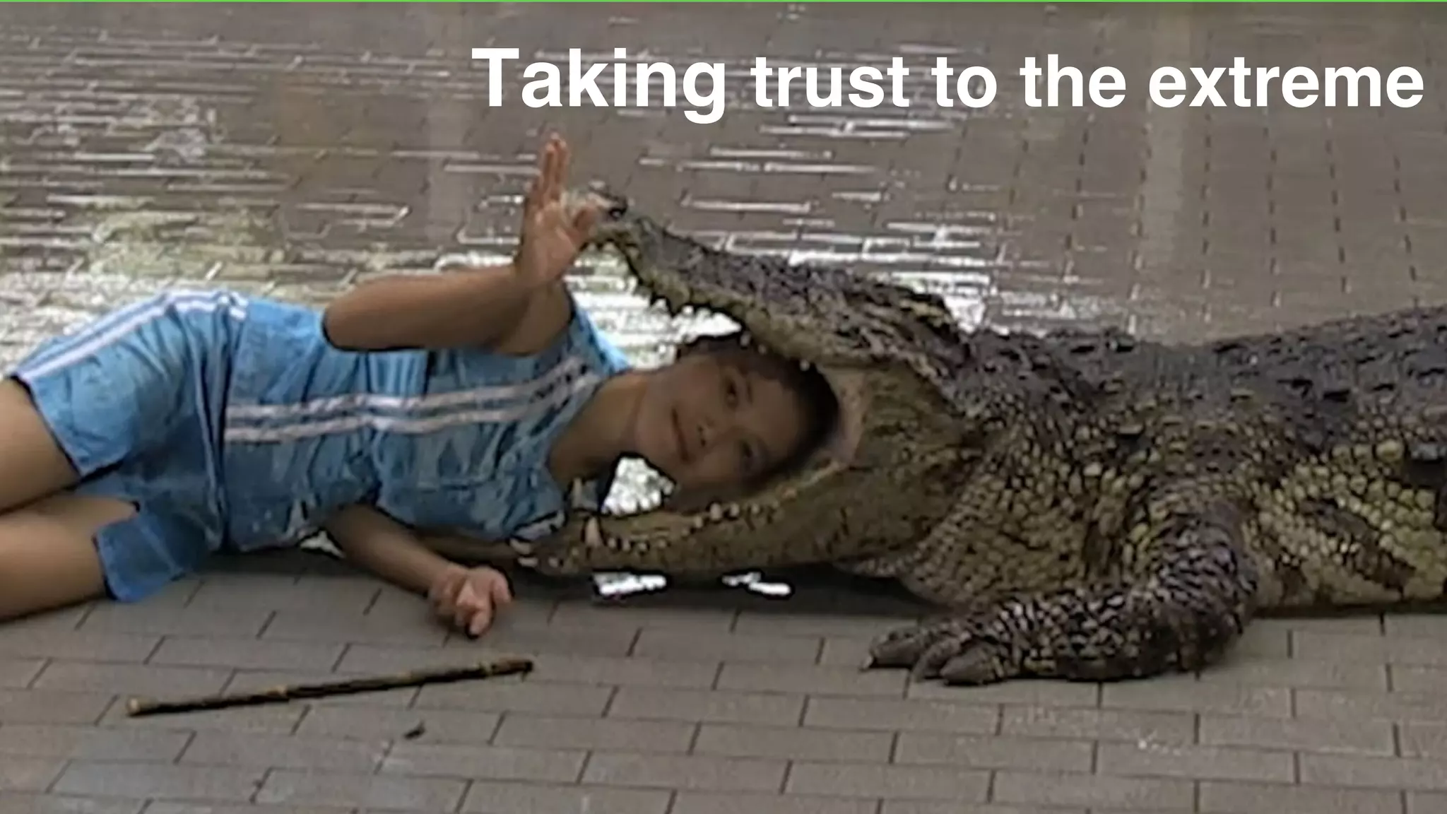 Taking trust to the extreme
 