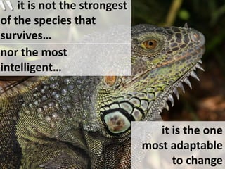“      it is not the strongest of the species that survives… nor the most intelligent…it is the one most adaptable to change