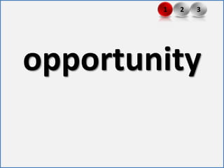 31opportunity2