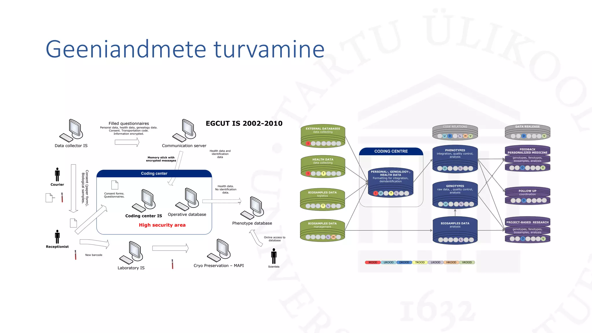 Geeniandmete turvamine
Courier
Filled questionnaires
Personal data, health data, genealogy data.
Consent. Transportation code.
Information encrypted.
Consent(paperform).
Biologicalsamples.
Coding center
Memory stick with
encrypted messages
Consent forms.
Questionnaires.
Receptionist
New barcode
High security area
Online access to
database
Scientists
Health data.
No identification
data.
Health data and
identification
data
Operative database
Phenotype database
Data collector IS Communication server
Laboratory IS
Cryo Preservation – MAPI
Coding center IS
EGCUT IS 2002-2010
EXTERNAL DATABASES
data collecting
BIOSAMPLES DATA
management
PERSONAL-, GENEALOGY-,
HEALTH DATA
Formatting for integration,
deindentification
DKOOD
I U T L
I
HEALTH DATA
data collecting
I T
PHENOTYPES
integration, quality control,
analysis
U L
CODING CENTRE
H
GENOTYPES
raw data, , quality control,
analysis
U L
PROJECT-BASED RESEARCH
L
CODE RELATIONS
U D L V
genotypes, fenotypes,
biosamples, analysis
D V
BIOSAMPLES DATA
analysis
L
IKOOD UKOOD TKOOD LKOOD VKOOD
FOLLOW UP
coordination
D
FEEDBACK
PERSONALIZED MEDICINE
genotypes, fenotypes,
biosamples, analysis
DATA REALEASE
BIOSAMPLES DATA
logistics
LT
H
HKOOD
D V
D V
 