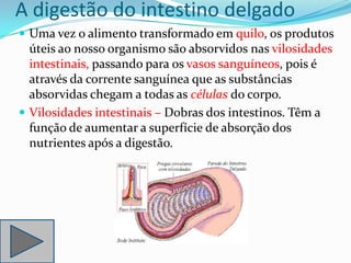 A digestão do intestino delgado
 Uma vez o alimento transformado em quilo, os produtos
  úteis ao nosso organismo são absorvidos nas vilosidades
  intestinais, passando para os vasos sanguíneos, pois é
  através da corrente sanguínea que as substâncias
  absorvidas chegam a todas as células do corpo.
 Vilosidades intestinais – Dobras dos intestinos. Têm a
  função de aumentar a superfície de absorção dos
  nutrientes após a digestão.
 