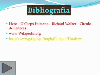  Livro – O Corpo Humano – Richard Walker – Círculo
  de Leitores
 www. Wikipédia.org
 http://www.google.pt/imghp?hl=pt-PT&tab=wi
 