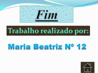 Digestão no Intestino