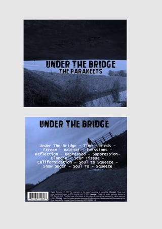 Under The Bridge – Time – Minds –
Stream – Habitat – Emissions –
Reflection – Depressed – Suppression–
Blondie – Scar Tissue –
Californication – Soul to Squeeze –
Snow Sugar – Soul To - Squeeze
 