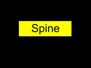 Spine
 