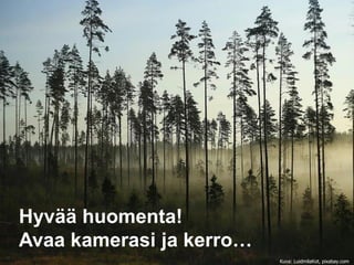 Hyvää huomenta!
Avaa kamerasi ja kerro…
Kuva: LuidmilaKot, pixabay.com
 