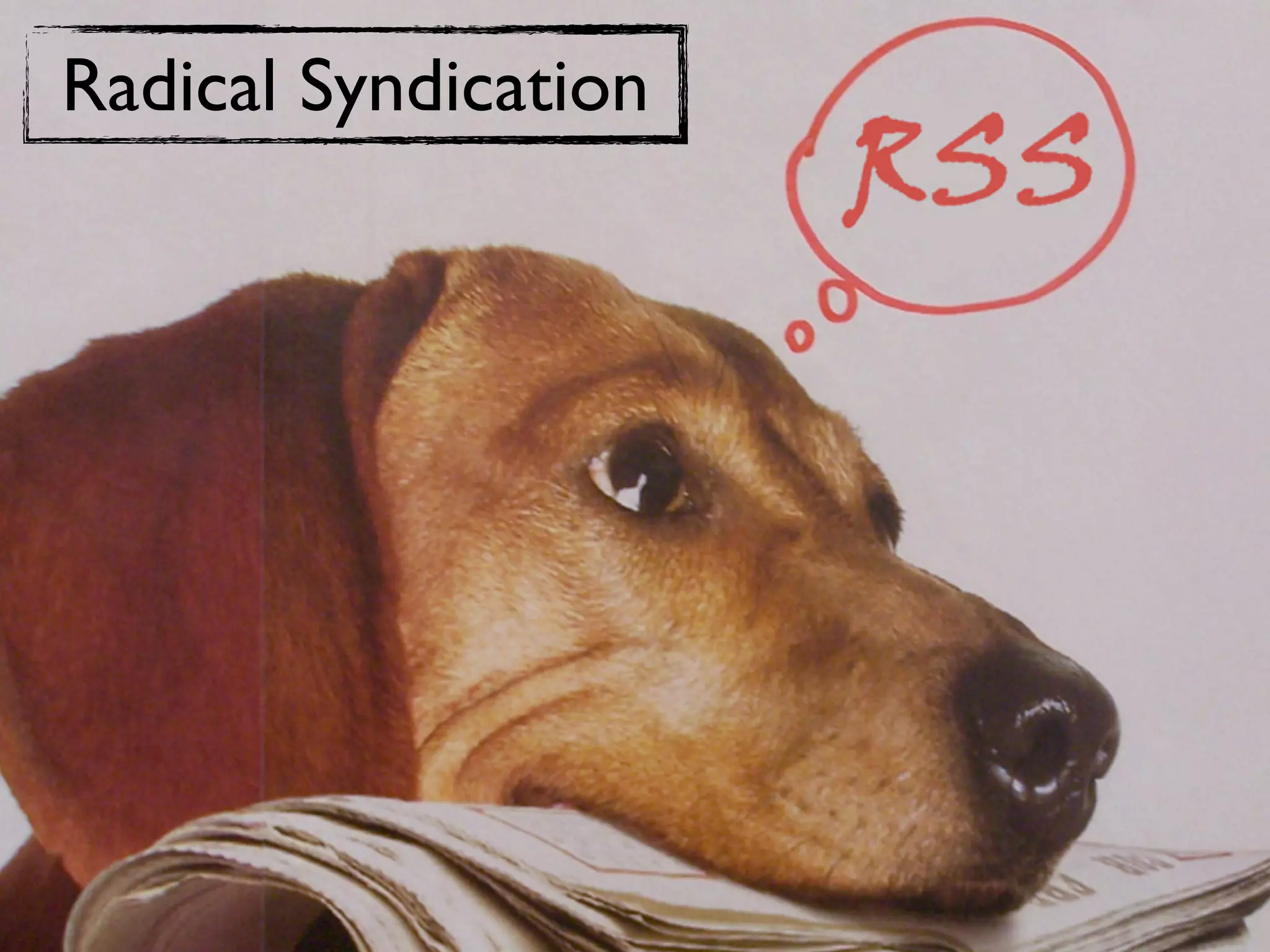 Radical Syndication
 