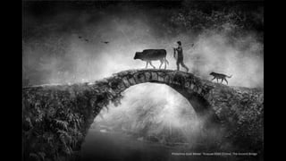 PhotoVivo Gold Medal - Ruiyuan Chen (China). The Ancient Bridge
 