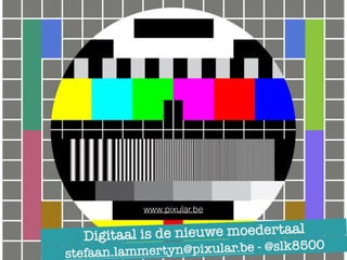 Social Media in Vlaanderen
www.pixular.be
1
Digitaal is de nieuwe moedertaal
stefaan.lammertyn@pixular.be - @slk8500
 