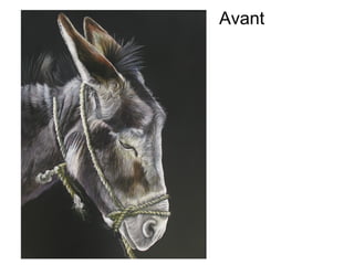 Avant
 