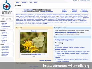 http://commons.wikimedia.org
 