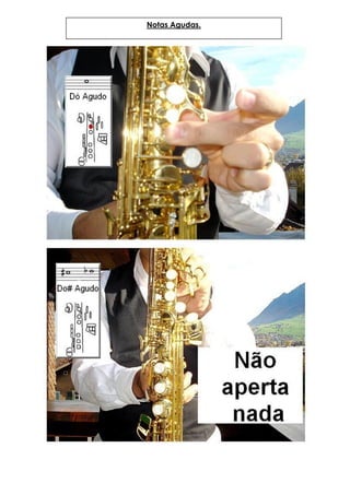 Notas Agudas.
 