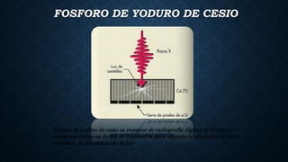 FOSFORO DE YODURO DE CESIO
Fosforo de yoduro de cesio es receptor de radiografía digital, el fosforo se
puede encontrar en forma de filamentos para mejorar la absorción de los rx
y reducir la dispersión de la luz
 