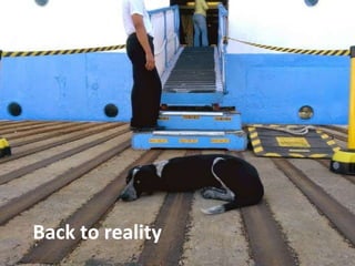 Back to reality
 
