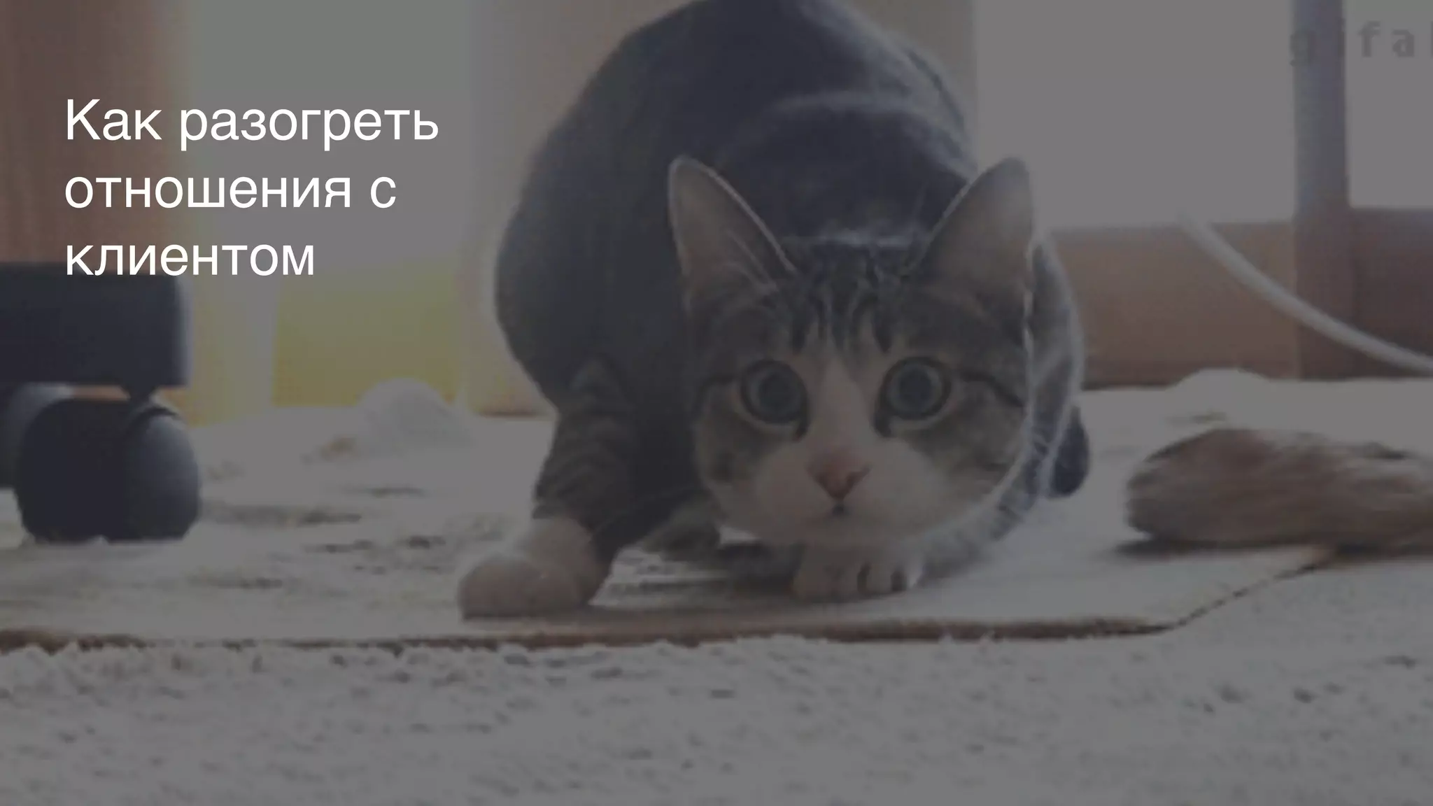 Как разогреть
отношения с
клиентом
 