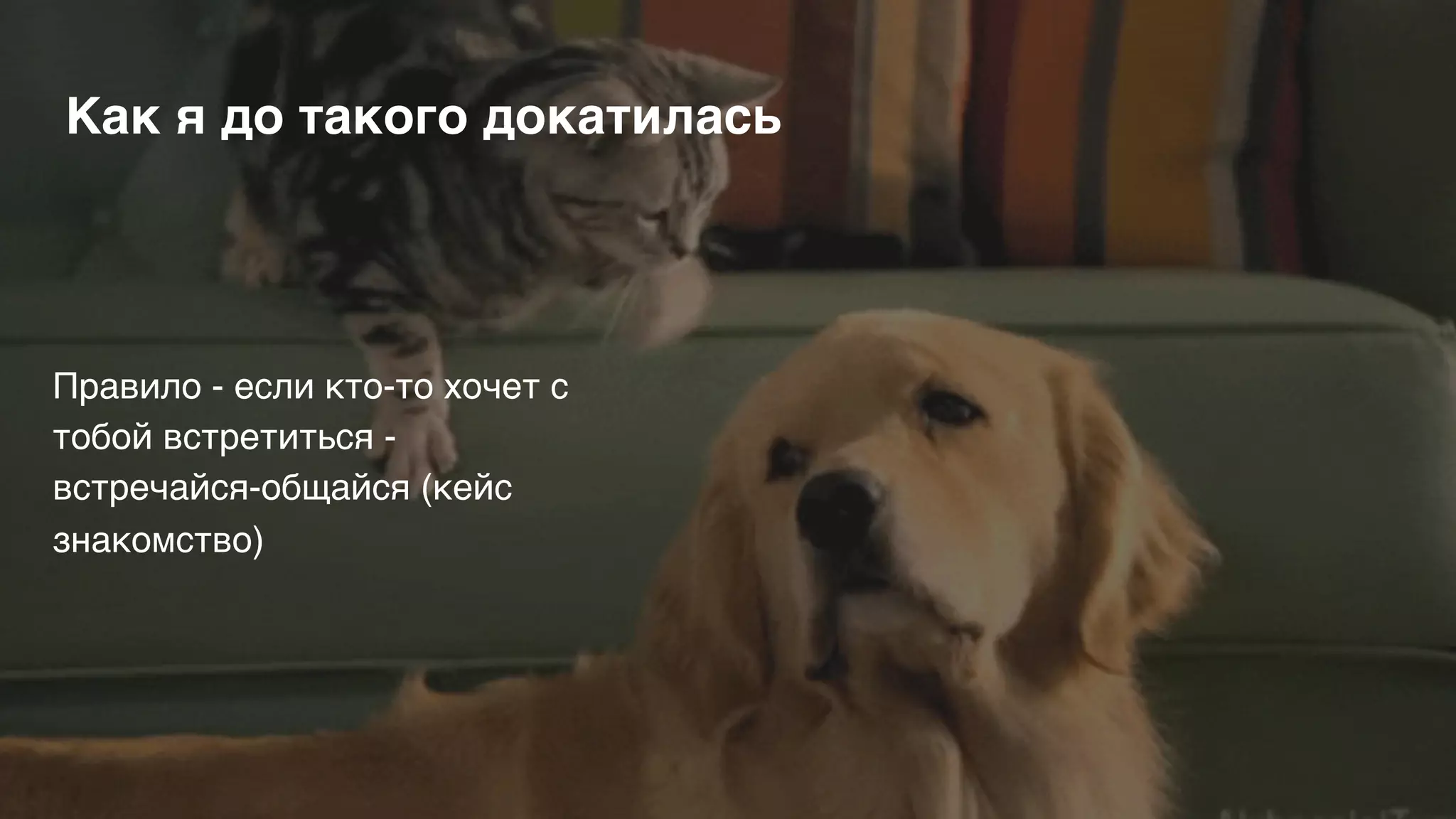 Правило - если кто-то хочет с
тобой встретиться -
встречайся-общайся (кейс
знакомство)
Как я до такого докатилась
 