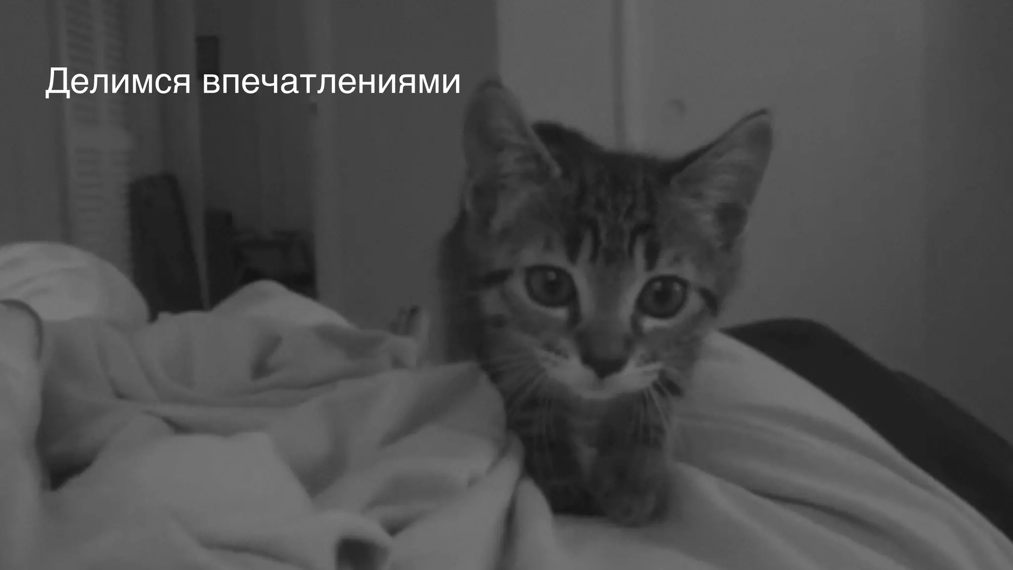 Делимся впечатлениями
 