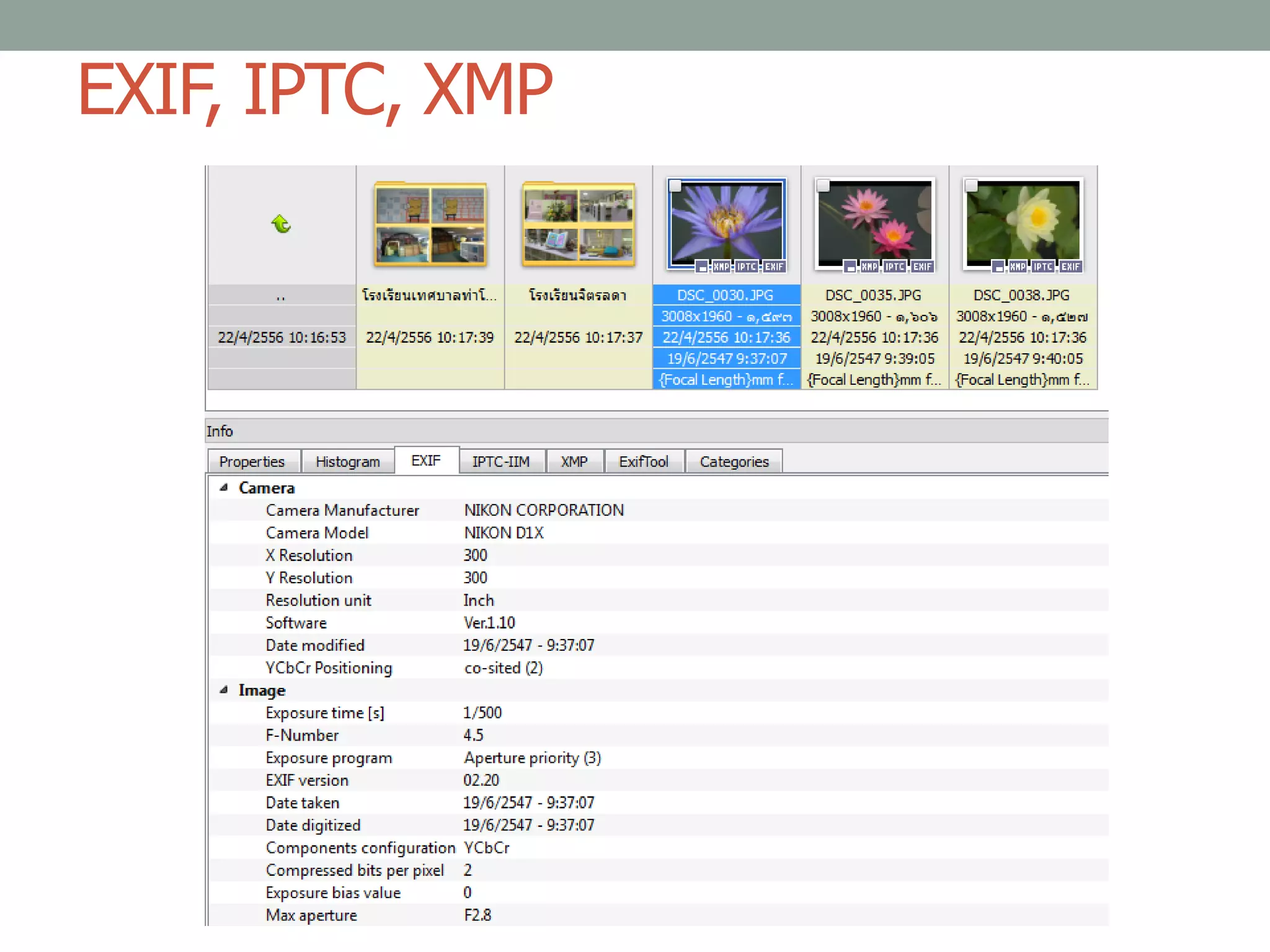 EXIF, IPTC, XMP
 