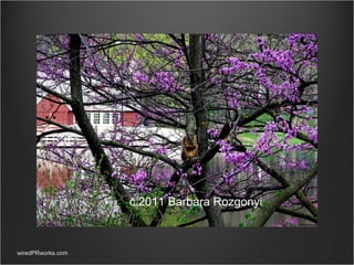 wiredPRworks.com c 2011 Barbara Rozgonyi 