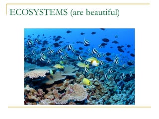 ECOSYSTEMS (are beautiful) 