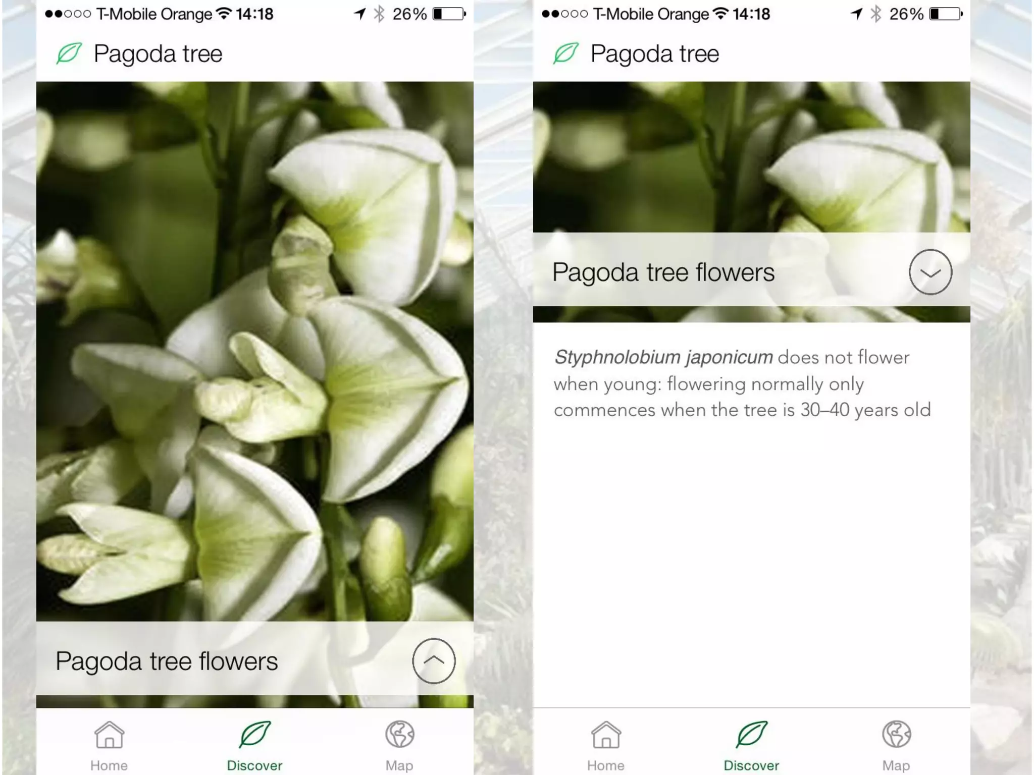 iBeacon Kew Gardens presentation for Digital Fast Forward event 