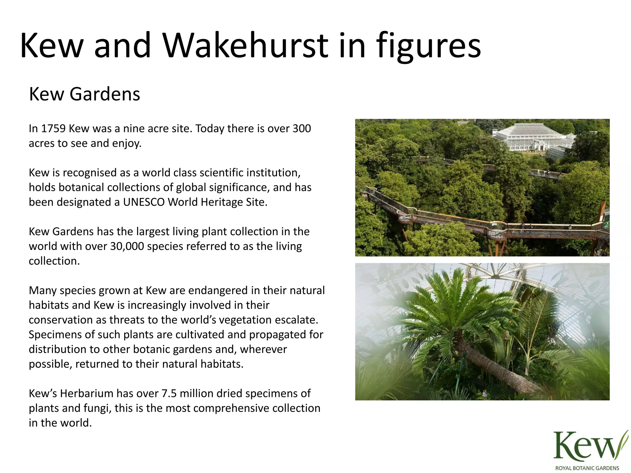 Kew Gardens
In 1759 Kew was a nine acre site. Today there is over 300
acres to see and enjoy.
Kew is recognised as a world class scientific institution,
holds botanical collections of global significance, and has
been designated a UNESCO World Heritage Site.
Kew Gardens has the largest living plant collection in the
world with over 30,000 species referred to as the living
collection.
Many species grown at Kew are endangered in their natural
habitats and Kew is increasingly involved in their
conservation as threats to the world’s vegetation escalate.
Specimens of such plants are cultivated and propagated for
distribution to other botanic gardens and, wherever
possible, returned to their natural habitats.
Kew’s Herbarium has over 7.5 million dried specimens of
plants and fungi, this is the most comprehensive collection
in the world.
Kew and Wakehurst in figures
 