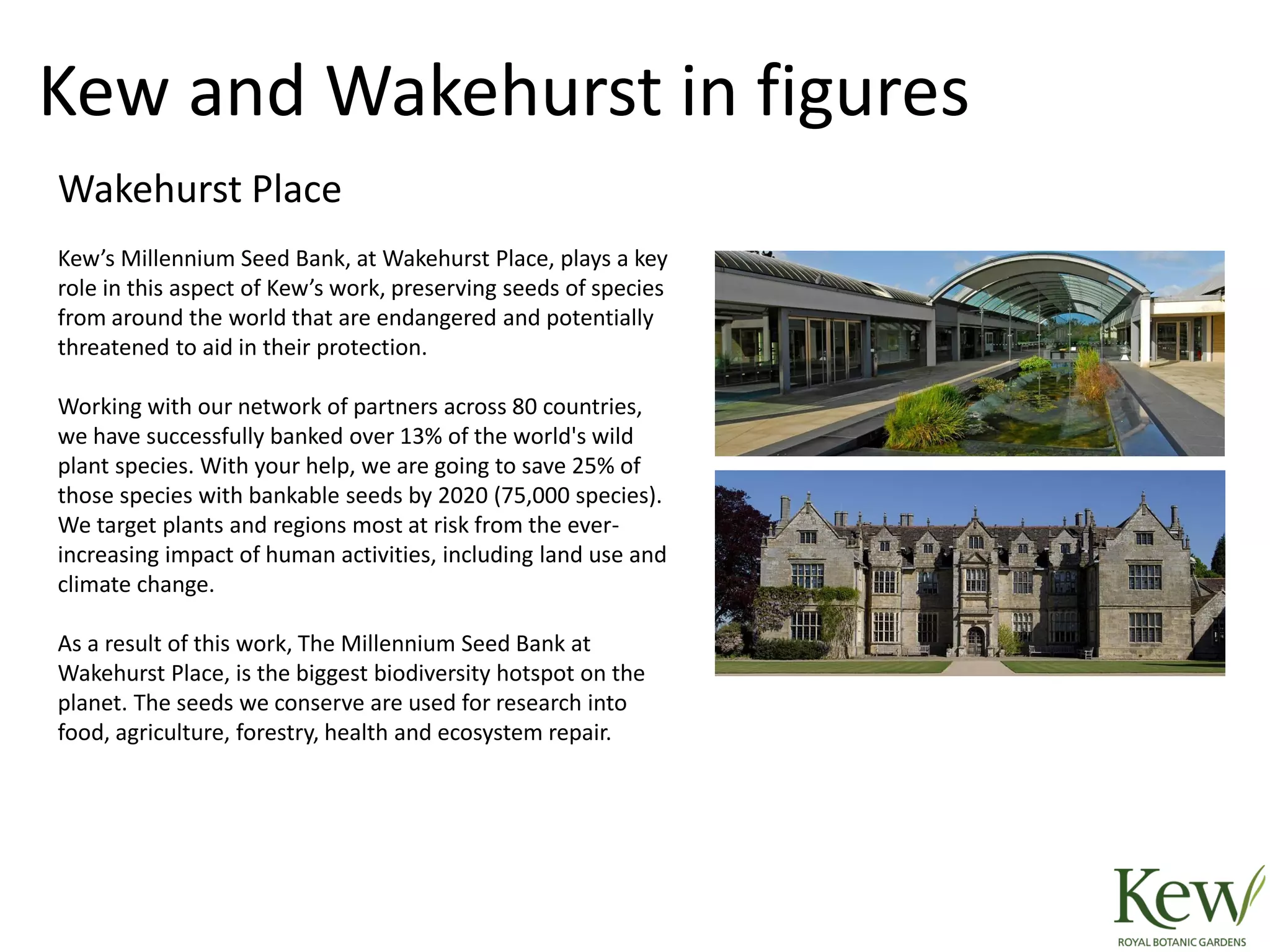 Wakehurst Place
Kew’s Millennium Seed Bank, at Wakehurst Place, plays a key
role in this aspect of Kew’s work, preserving seeds of species
from around the world that are endangered and potentially
threatened to aid in their protection.
Working with our network of partners across 80 countries,
we have successfully banked over 13% of the world's wild
plant species. With your help, we are going to save 25% of
those species with bankable seeds by 2020 (75,000 species).
We target plants and regions most at risk from the ever-
increasing impact of human activities, including land use and
climate change.
As a result of this work, The Millennium Seed Bank at
Wakehurst Place, is the biggest biodiversity hotspot on the
planet. The seeds we conserve are used for research into
food, agriculture, forestry, health and ecosystem repair.
Kew and Wakehurst in figures
 