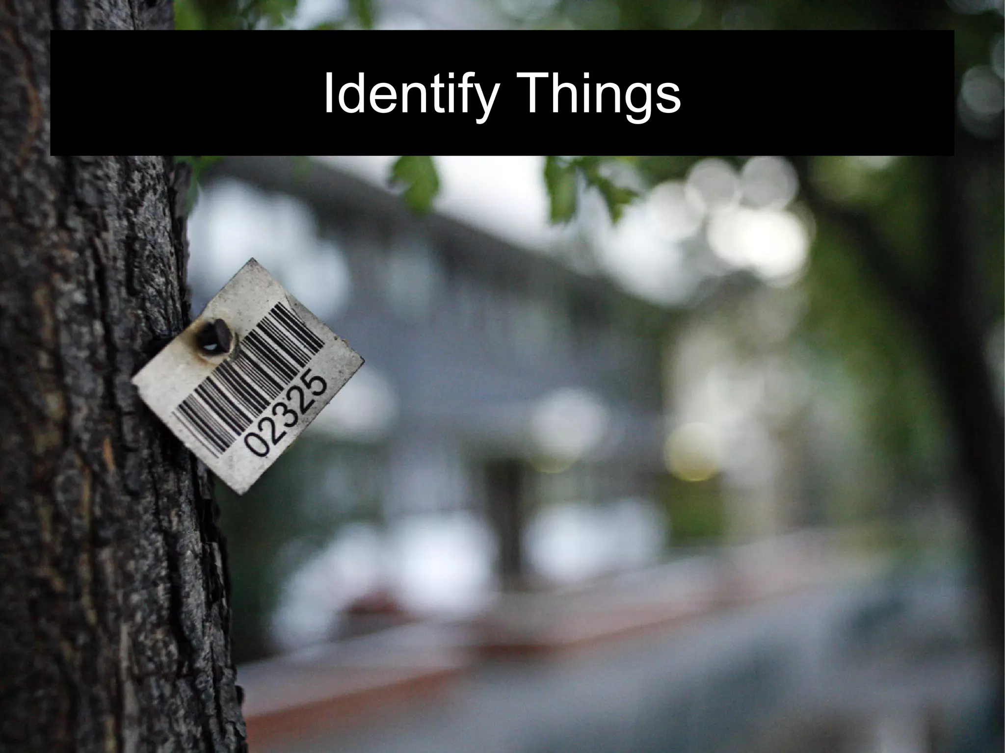 Identify Things