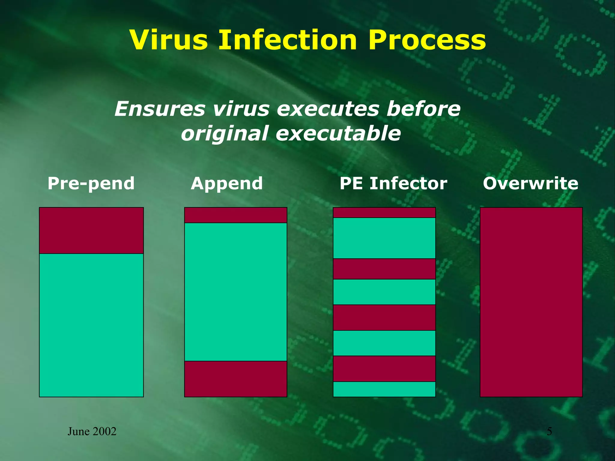 Virus Infection Process Ensures virus executes before  original executable Pre-pend Append PE Infector Overwrite 