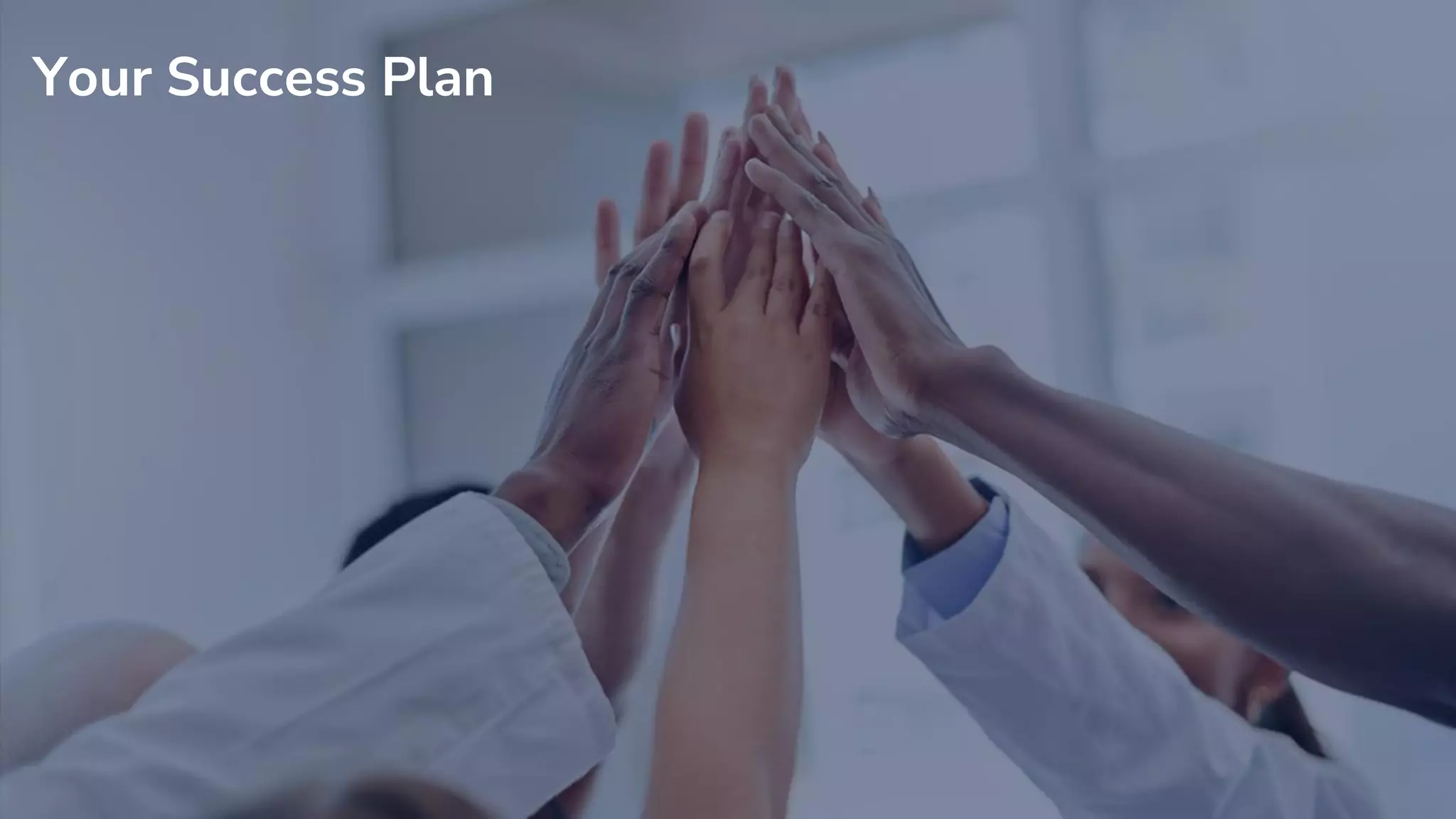 Your Success Plan
 