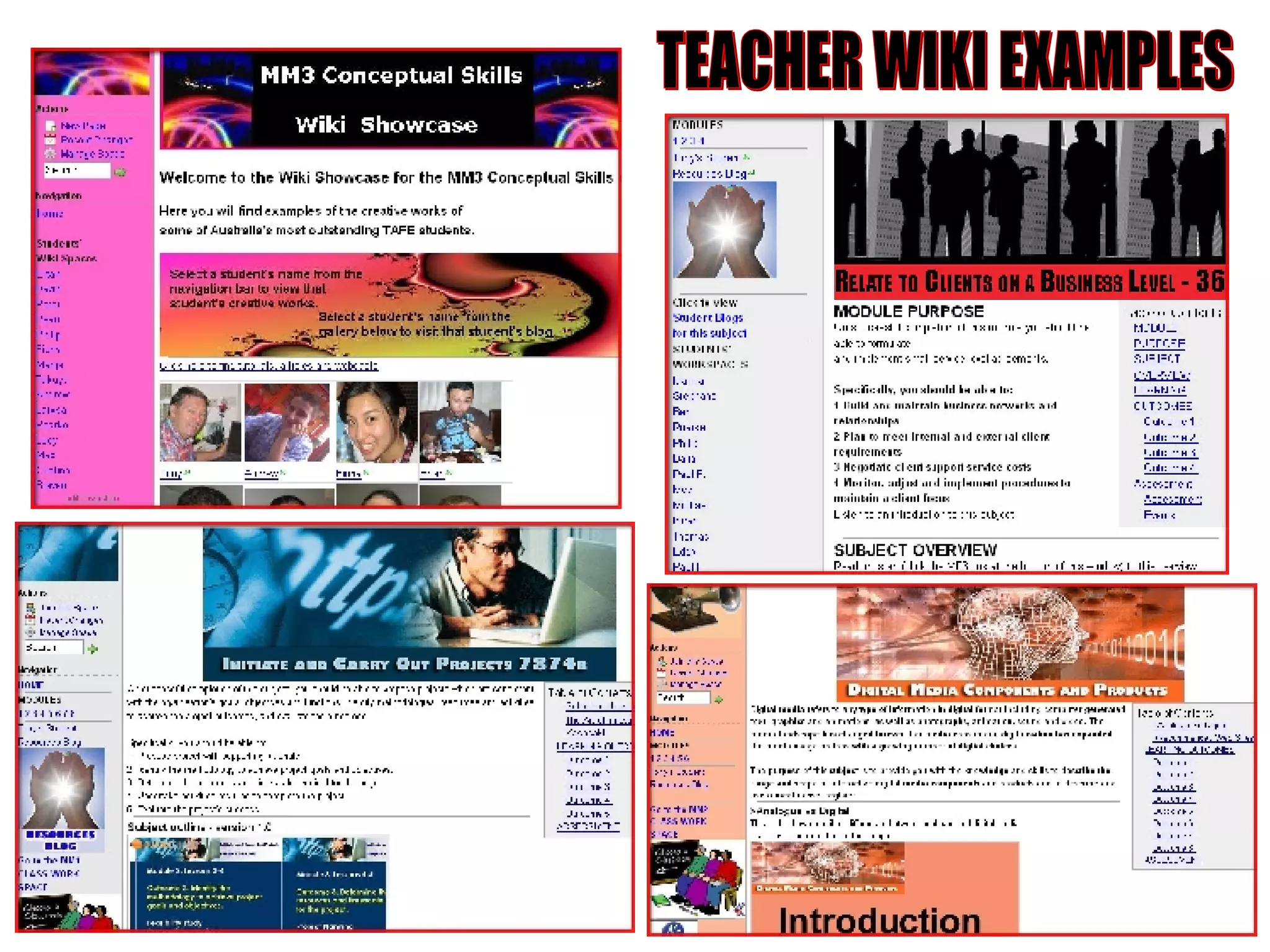 TEACHER WIKI EXAMPLES 