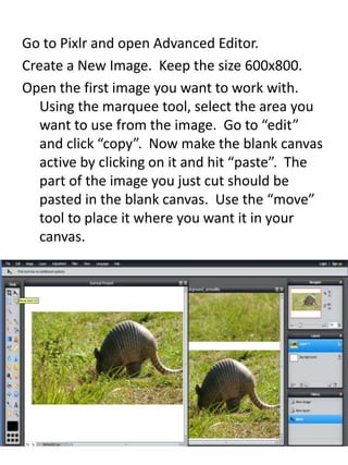Go to Pixlr and open Advanced Editor.
Create a New Image. Keep the size 600x800.
Open the first image you want to work with.
Using the marquee tool, select the area you
want to use from the image. Go to “edit”
and click “copy”. Now make the blank canvas
active by clicking on it and hit “paste”. The
part of the image you just cut should be
pasted in the blank canvas. Use the “move”
tool to place it where you want it in your
canvas.
 