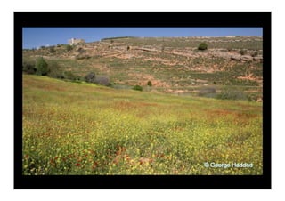 Basic Digital Photography | PDF