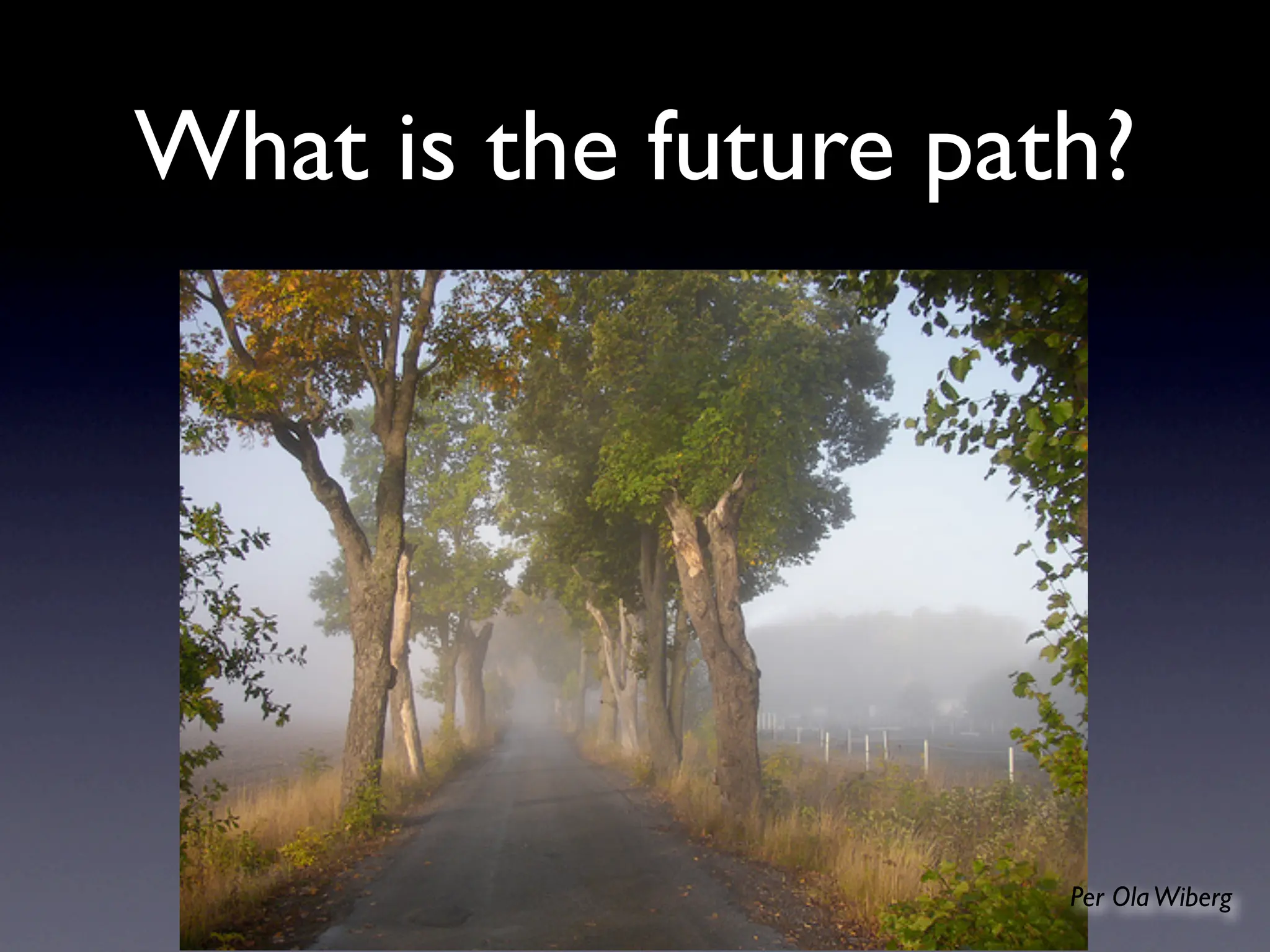 Digital Proprioception