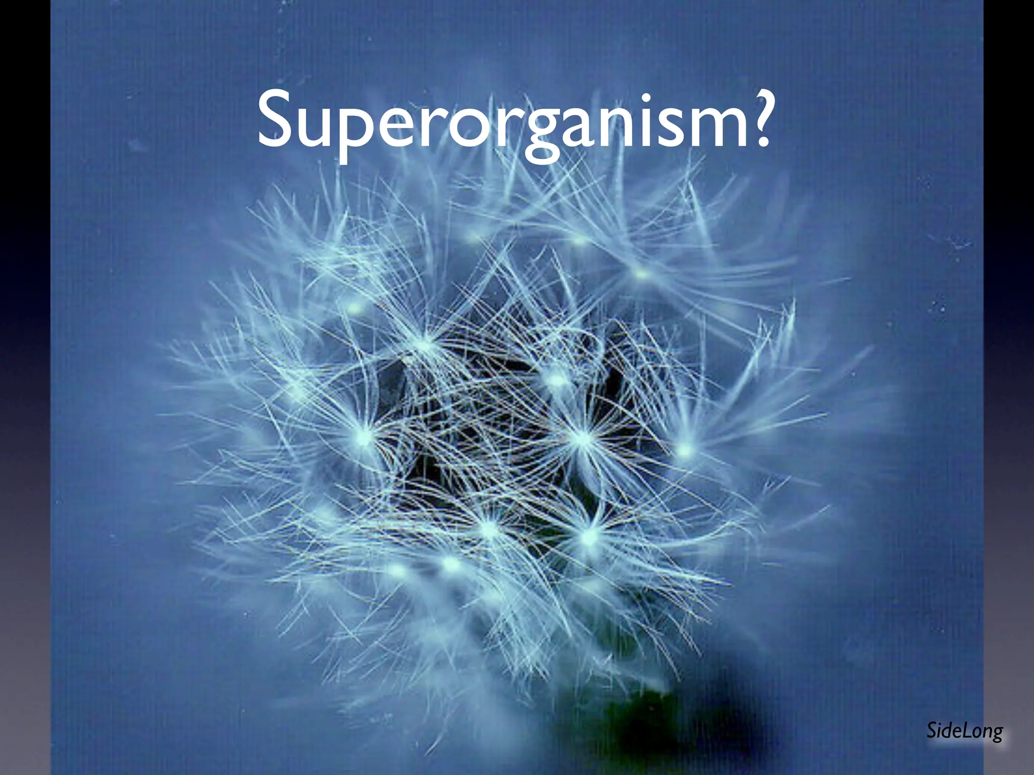 Digital Proprioception