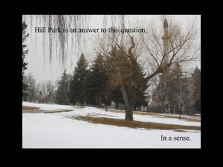 Hill Park is an answer to this question. In a sense. 